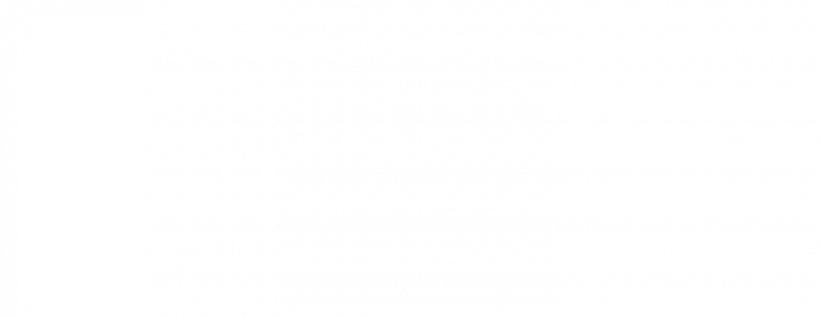 Proin sagittis enim
